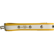 画像をギャラリービューアに読み込む, 【カスタムオーダー】トーナメントベルト